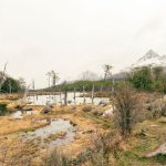 Costa de Península Valdés preparada para la observación responsable de fauna marina