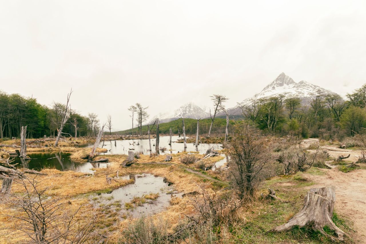 Costa, bosque subantártico y montañas en el Parque Nacional Tierra del Fuego