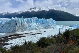 Sendero patagónico con vista a las montañas cerca de El Chaltén