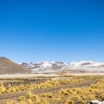 Viñedos y montañas en Cafayate dentro de los Valles Calchaquíes