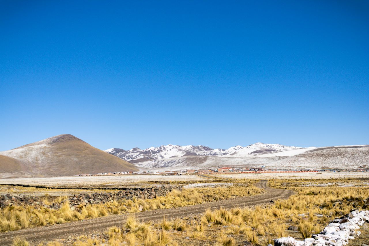 Viñedos de Mendoza con la cordillera de los Andes en el horizonte